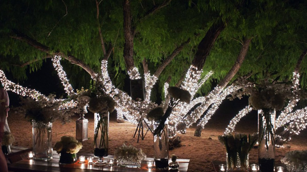 Image of Christmas Light Event Rentals for Wedding Receptions