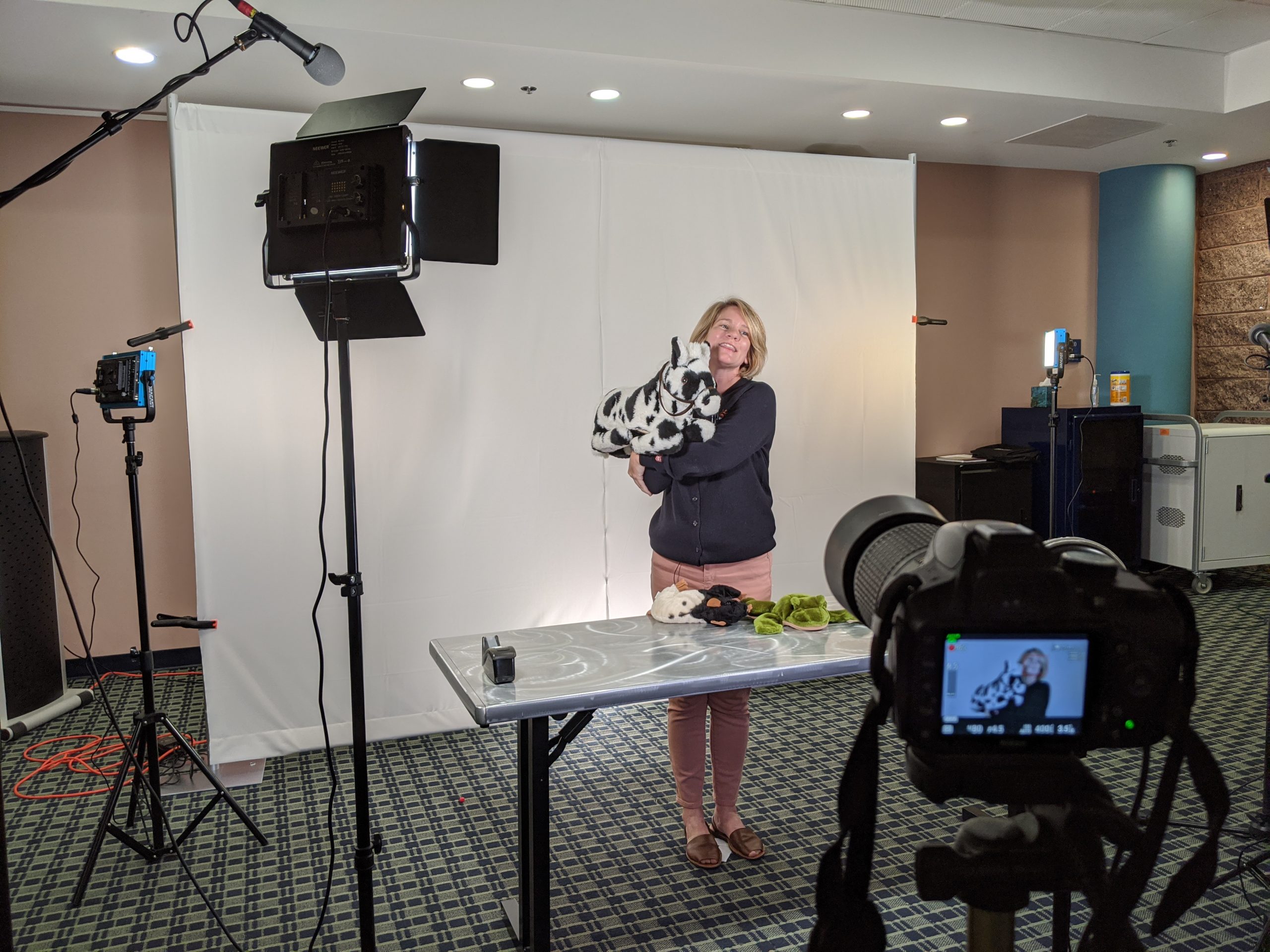 How can I take my Non-Profit Auction Online?